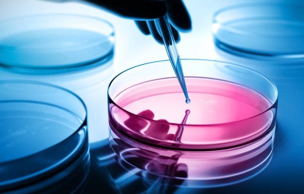 The Importance of Repetitive Pipettes in Modern Laboratories