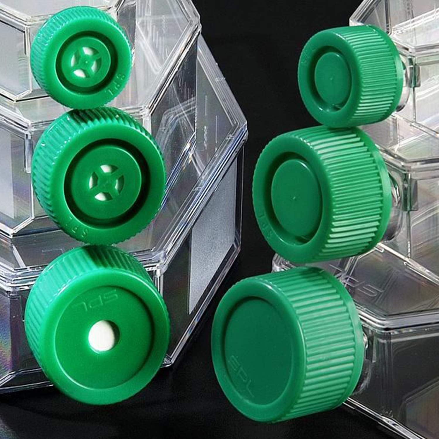 SPL Cell Flasks- 175cm2, Vented, PS, Sterile, Case of 40
