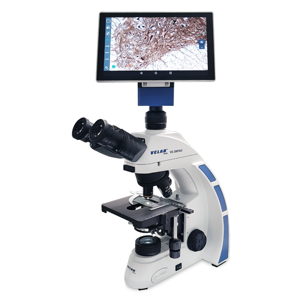 VE-300PAD Biological Binocular Microscope w/ 10.1" Integrated Tablet and 4.0 MP Digital Camera