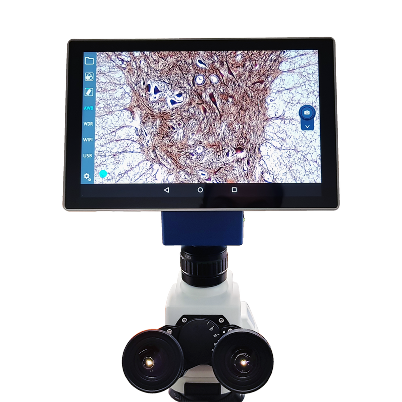 VE-SCOPEPAD 300 10.1" Tablet w/ Integrated 5.0 MP Camera, USB, mini USB y HDMI ports for Prime Microscopes