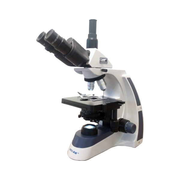 VE-T2 Triocular Biological Microscope (Intermediate)