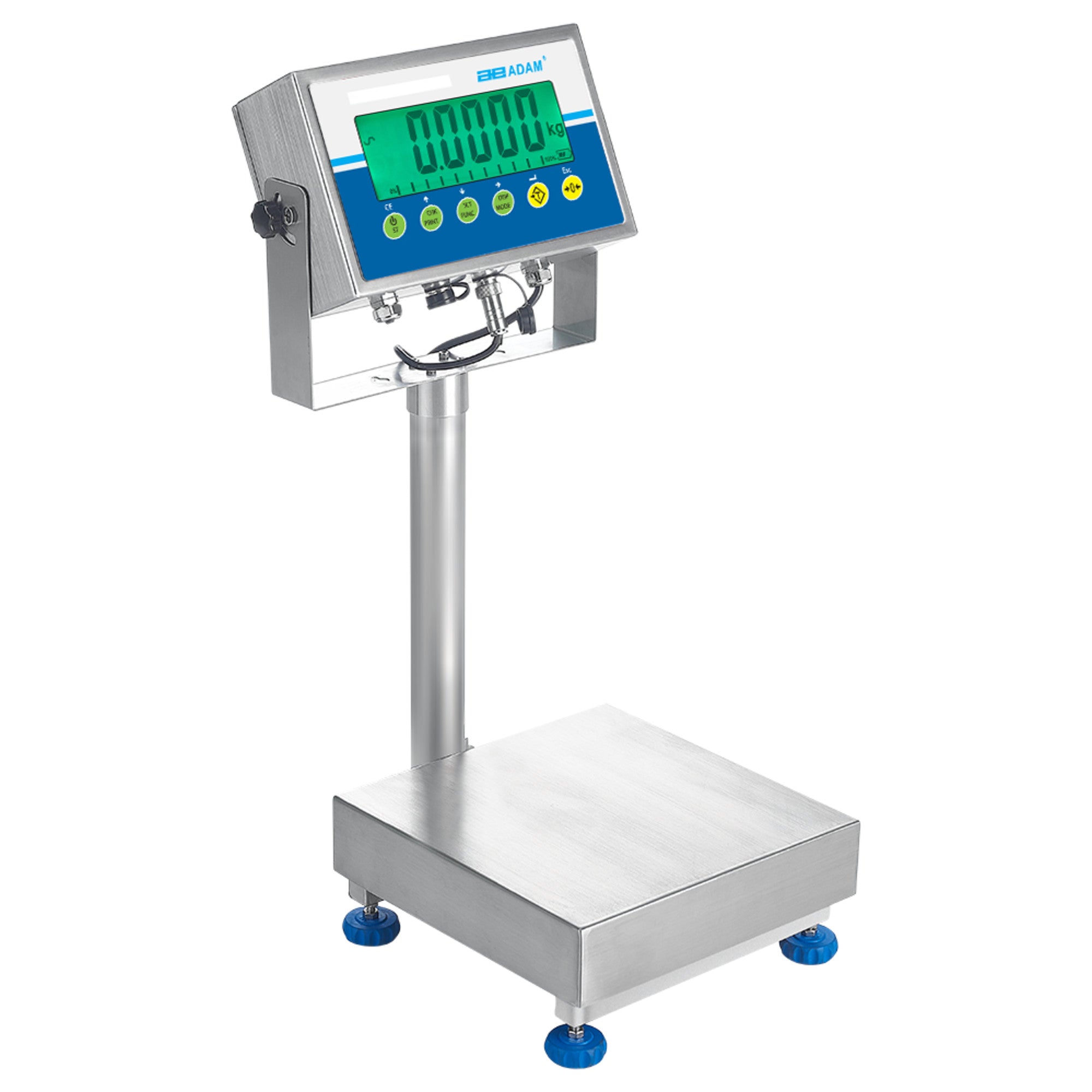 Adam Equipment GGS 35a Gladiator Washdown Scales, 35 lb x 0.002 lb