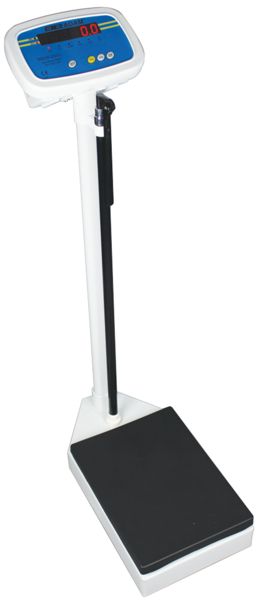 Adam Equipment MDW 250L Digital Physician Scales, 550 lb x 0.2 lb